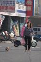 Und schließlich: Taiwanesen haben ihre Hunde gern. Aber nicht zum Fressen