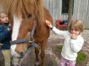 Doch vor dem Reiten sollst Du putzen