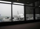 Endlich mal live (und später sogar noch auf der Startbahndirekt vor uns abheben) gesehen: den A 380