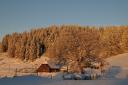 Sonnenaufgang in der Nachbarschaft am Erlenhof