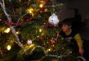 Gurke gefunden, Geschenke auspacken