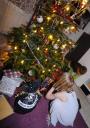 wo hat sich die Weihnachtsgurke versteckt?
