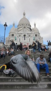 die_Vögel