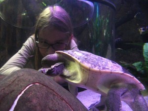 hannah_meets_turtle