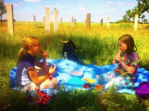 picknick